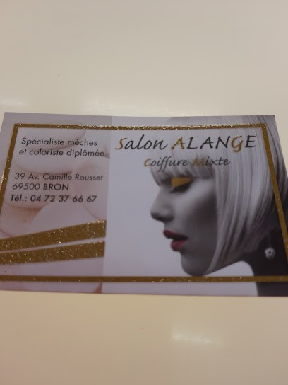 Salon De Coiffure Alange, Salon de Coiffure à Bron