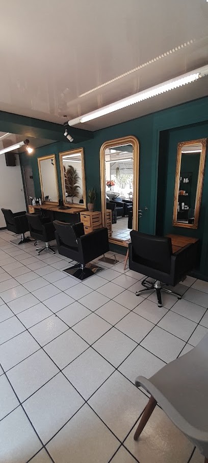 L'Art De Sophie, Salon de Coiffure à Saint-Vallier