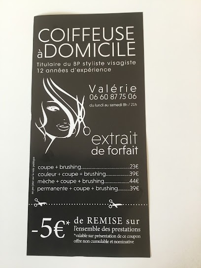 Cassagnettes valerie, Coiffeur à Domicile à Lattes