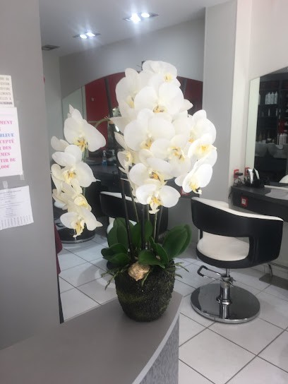 Jacinte Coiffure, Salon de Coiffure à Paris 15