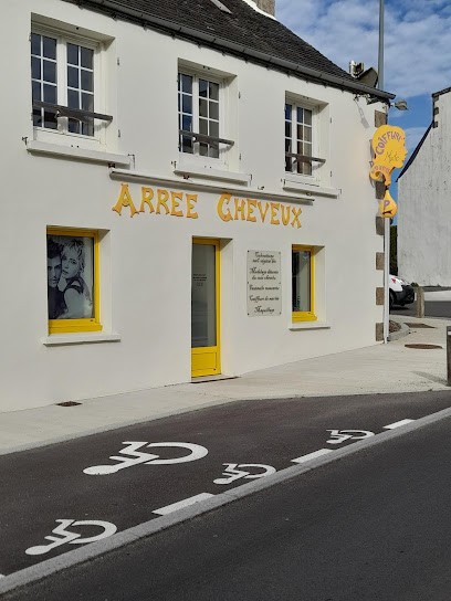 Arrée Cheveux, Salon de Coiffure à Plounéour-Ménez
