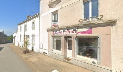 Esprit Coiffure, Salon de Coiffure à Saint-Thurien