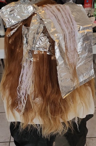 Mèches et Ciseaux, Coiffeur à Domicile à Saligny