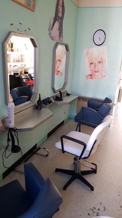 Pecouyoul Gerard, Salon de Coiffure à Terrasson-Lavilledieu