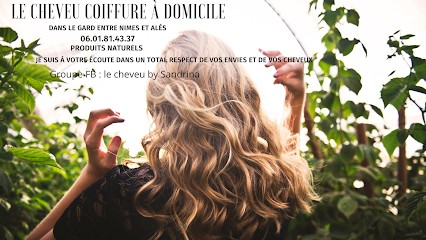 Le Cheveu, Coiffeur à Domicile à Boucoiran-et-Nozières