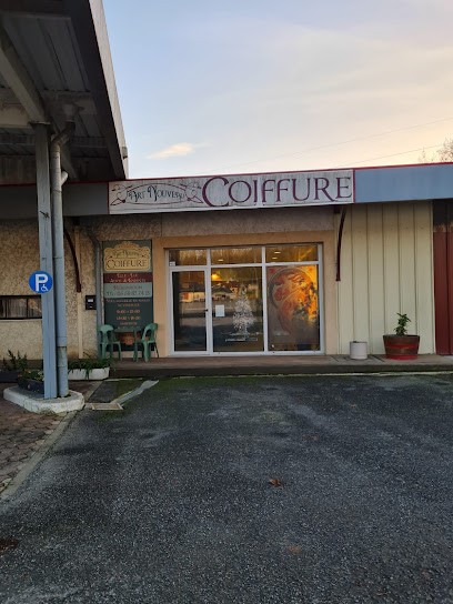 Art Nouveau Coiffure, Salon de Coiffure à Aressy