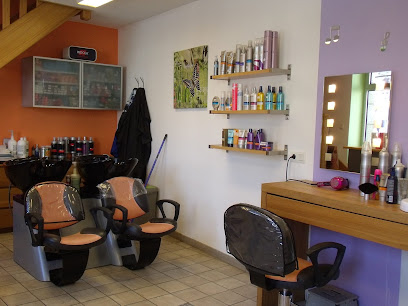 Le Chant Des Ciseaux, Coiffeur à Scrignac