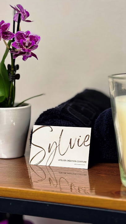 Création Coiffure Sylvie Coiffeur au Crès