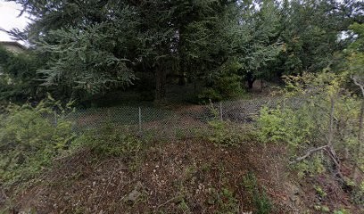 Coiffure à domicile Trichotherapy, Coiffeur à Domicile à Saint-Just-Saint-Rambert