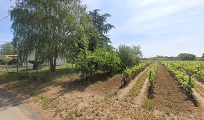 Ophelie coiffure, Coiffeur à Domicile à Saint-Romain-de-Benet