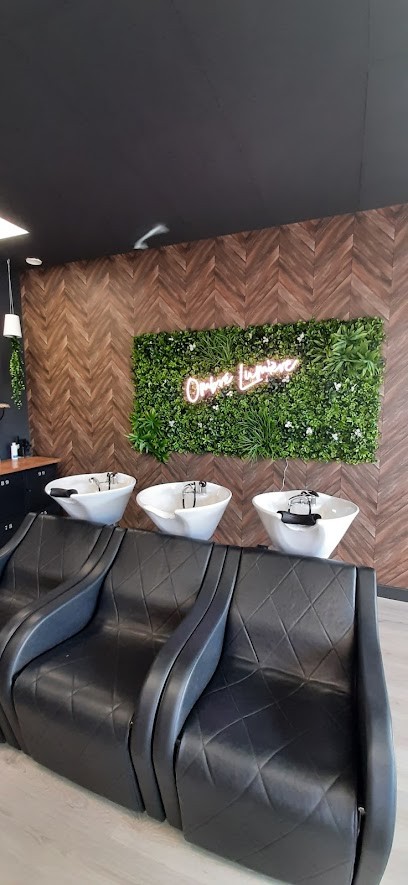Ombré Lumière, Salon de Coiffure à Bonchamp-lès-Laval