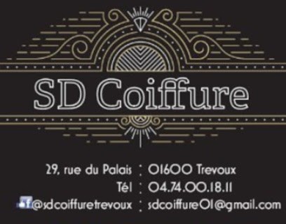 SD Coiffure, Salon de Coiffure à Trévoux