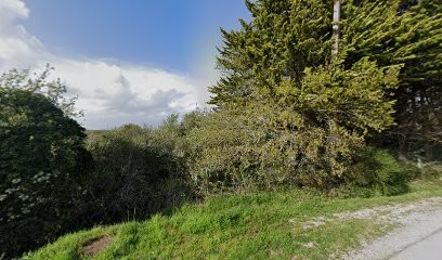 Mathilde Pichaud Coiffure, Coiffeur à Domicile à Saint-Gildas-de-Rhuys
