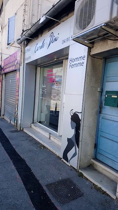 Poli-Dini Carole, Salon de Coiffure à Septèmes-les-Vallons