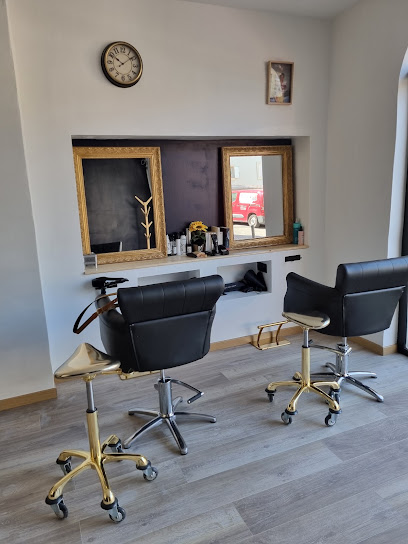 Blue Bird Coiffeur à Draguignan