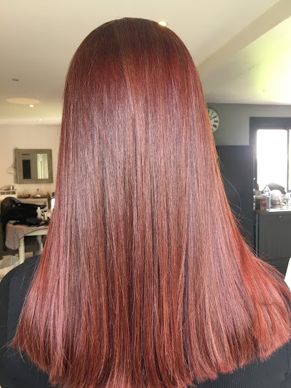 Tania Coiff’Prestige, Coiffeur à Domicile à Gambais