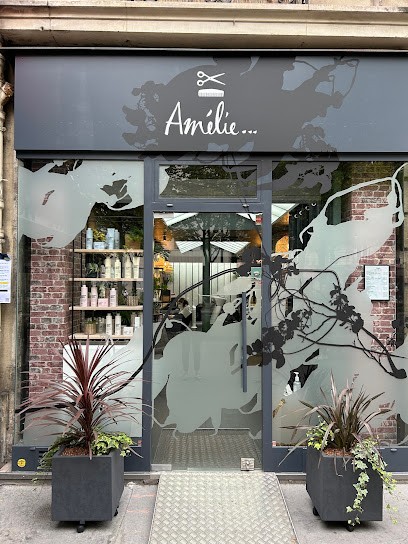 Amélie ... Coiffeur Paris 15, Salon de Coiffure à Paris 15