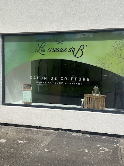 Les Ciseaux De B’, Salon de Coiffure à Jarville-la-Malgrange