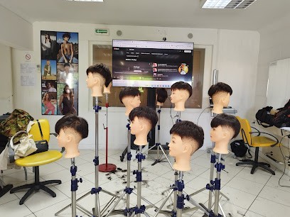 Studio Provalliance Gradignan, Salon de Coiffure à Gradignan