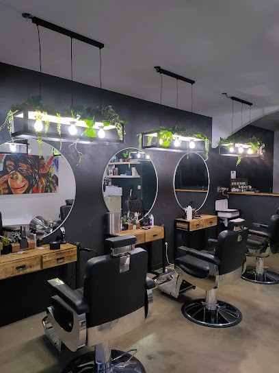 Studio David, Salon de Coiffure au Grau-du-Roi