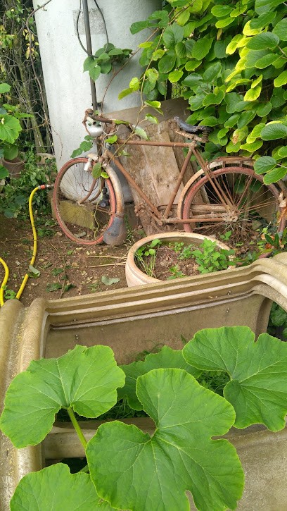 Ledauphin Christiane coiffeuse à domicile, Coiffeur à Domicile à Martigny-sur-l'Ante