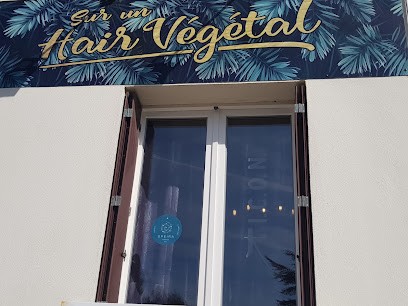 Sur un Hair Végétal, Salon de Coiffure à Monteneuf