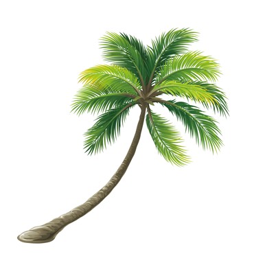 Styl'Afrique, Salon de Coiffure à Sanary-sur-Mer