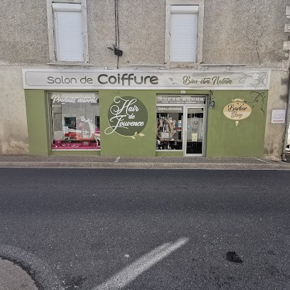 Salon de Coiffure Hair de jouvence coloration végétale, Salon de Coiffure à Lisle