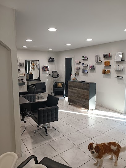 Sylvie Coiffure, Salon de Coiffure à Ventenac-Cabardès