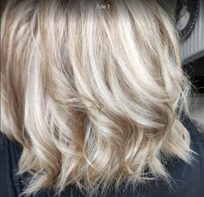 Caroll’Coiffure, Coiffeur à Domicile au Puy-Sainte-Réparade