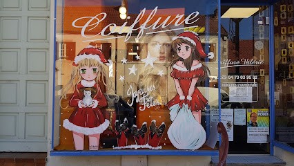 MEYER VALERIE, Salon de Coiffure à Désertines