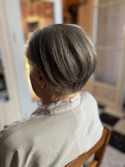 Smh Coiffure Coiffeur à Plaisir