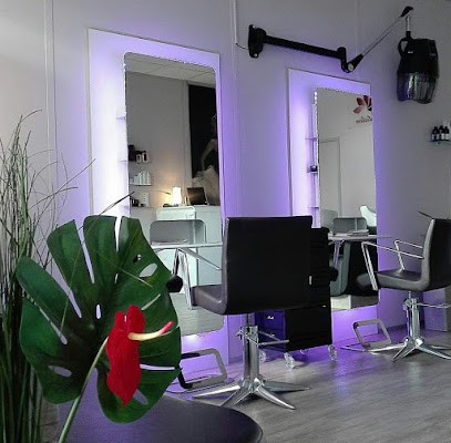 INTUITION COIFFURE By SANDRINE, Salon de Coiffure à Croissy-Beaubourg