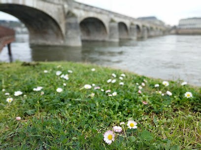 Ciseaux de Loire, Salon de Coiffure à Saumur