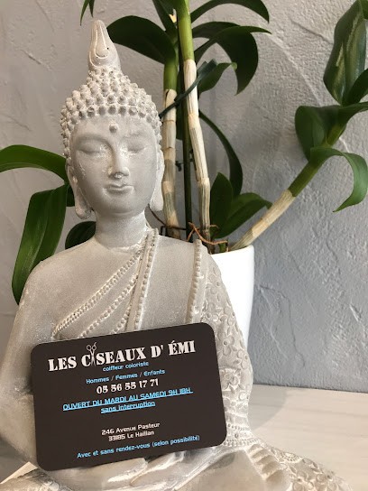 Les Ciseaux D émi, Salon de Coiffure au Haillan