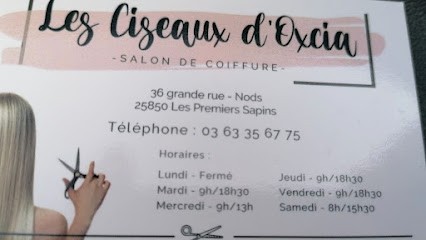 Les ciseaux d'Oxcia, Salon de Coiffure aux Premiers Sapins