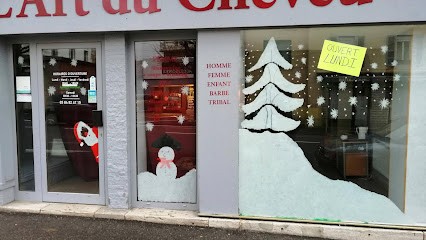 L'Art Du Cheveu, Salon de Coiffure à Vesoul