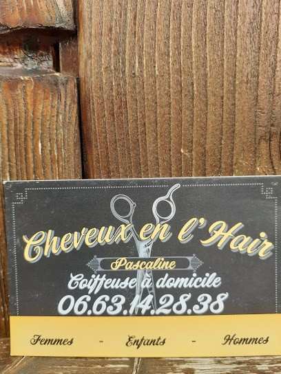 Cheveux en l'hair Pascaline coiffeuse à domicile, Coiffeur à Domicile à Leudon-en-Brie