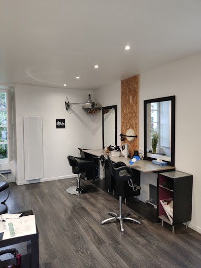 L.A. Nouvelle Hair, Salon de Coiffure à Sainte-Anne-sur-Vilaine