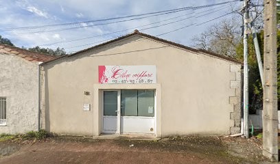 Céline Coiffure, Salon de Coiffure à Saint-Yrieix-sur-Charente