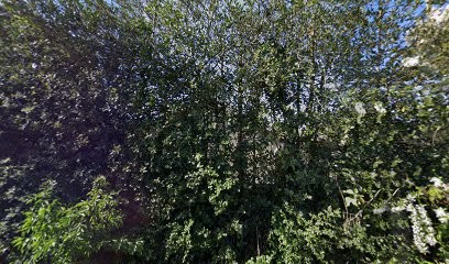 MON PETIT SALON, Salon de Coiffure à Simandres