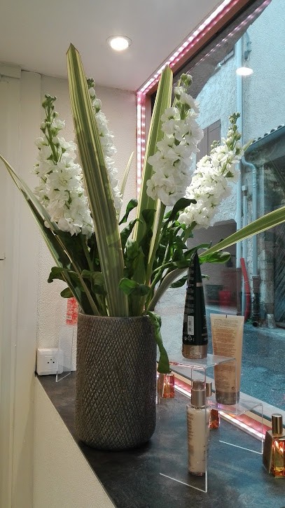 Atelier De Coiffure Jean Charles, Salon de Coiffure à Vence