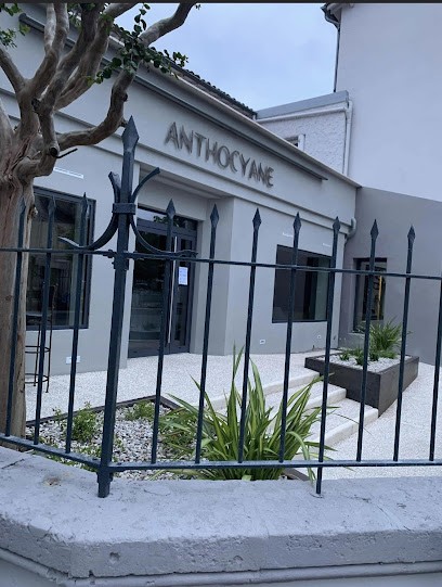 Anthocyane, Salon de Coiffure à Bergerac