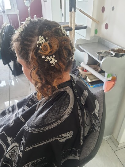 Hair Nuance, Coiffeur à Domicile à Préseau