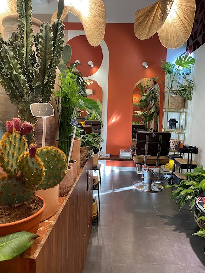 Green Corner, Salon de Coiffure à Villeneuve-lès-Avignon