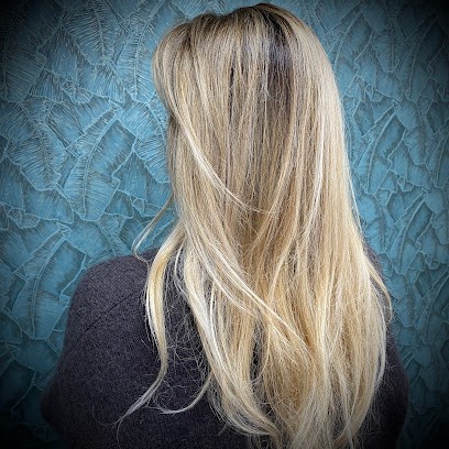 salon swell, Salon de Coiffure à Angresse