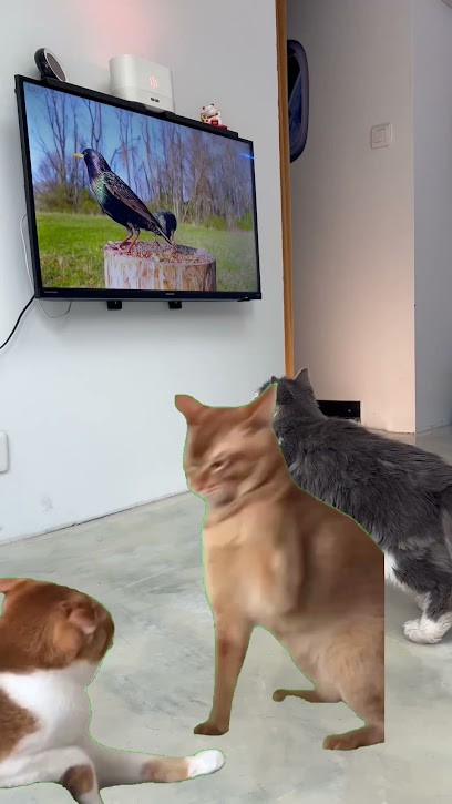 Le Chalon, Salon de Coiffure à Montélimar