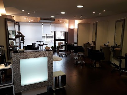 Luc Saint Ille, Salon de Coiffure à Aucamville