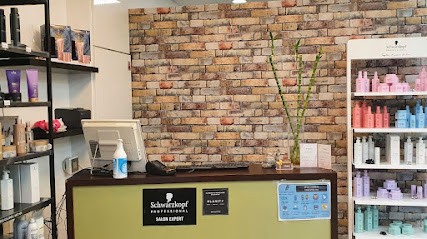 Studio Coiffure, Salon de Coiffure à Torcy