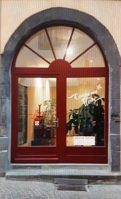 Comme Une Fleur, Salon de Coiffure à Riom